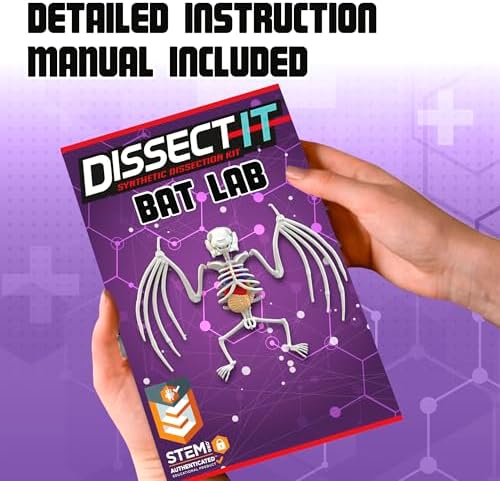Dissect-It, Bat Dissection Kit, STEM Toys for Kids, Ages 6+ - Image 6