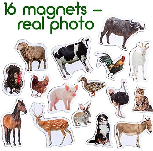 Fridge Magnets for Toddlers - 16 Farm Animal Magnets - Learning Toy - Image 3