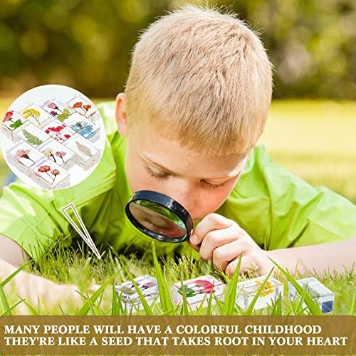 Geelin 24 Pcs Insect in Resin Specimen Set Specimen Bugs Plant Flower Paperweight Butterfly Science Mini Animals Figures for Biology Science Teacher Education Collection - Image 6