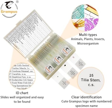 30 Prepared Microscope Slides with Specimens for Kids Students - Animals Plants Insects Microorganism, for Biological Science Lab, Children's Science Education, Homeschool - Image 2