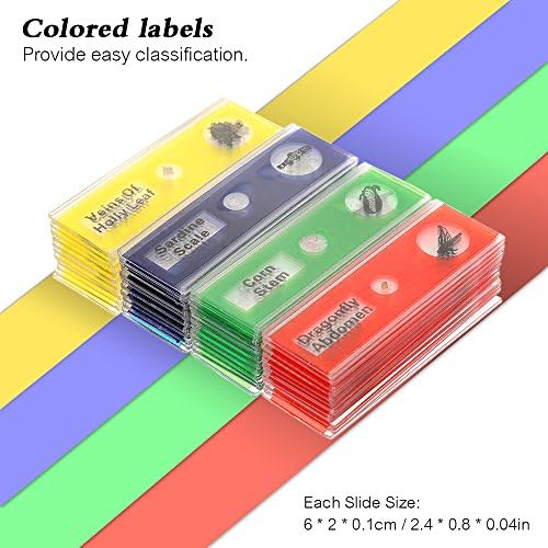 Prepared Microscope Slides, 48pcs Plastic Animals Insects Plants Flowers Sample Specimens - Image 4