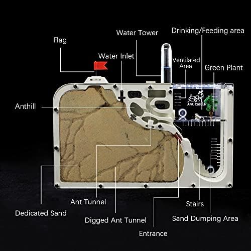ELNMLHT Ant Farm Castle, Ant Farms with Yellow Sand and Tool Kit, Ant Colony Observation Kit, Ant Viewing Habitat Science Kit, Educational & Learning Science Kit for Kids, Adults, Student (Ant Farm B) - Image 4
