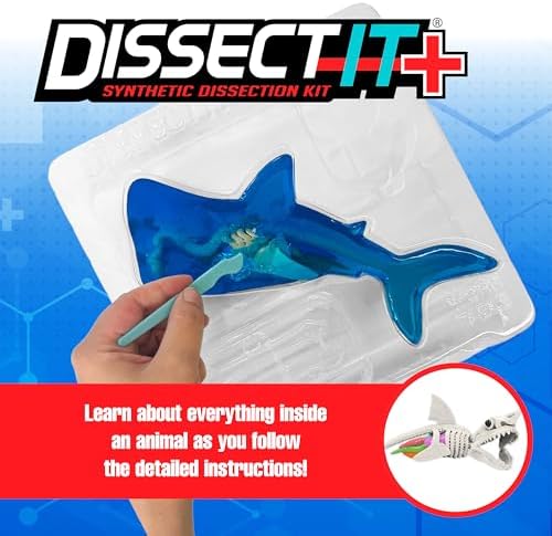 Dissect-It, Shark Dissection Kit, STEM Toys for Kids, Ages 6+ - Image 2