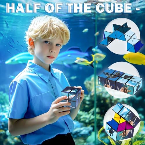 Euclidean Cube Fidget Toys for Kids 2 in 1 Star Cube Magic Cube Puzzle Toys - Image 3