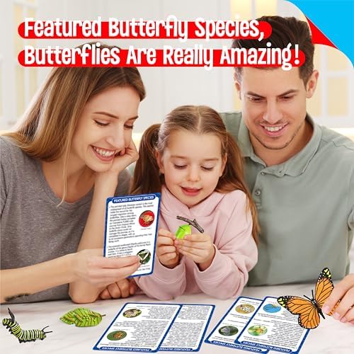 15 Butterfly Life Circle Flashcards with 4 Plastic Figurines, Butterflies Introduction Cards Plastic Insects Egg to Butterfly Kit Toy for Kids, Adults, Animal Lovers - Image 5