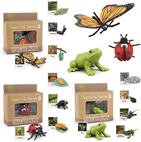 Montessori Life Cycle Learning & Education Toys, Plastic Insect Ladybug Monarch Butterfly Tadpole to Frog Kit, Preschool Learning Activities by MIKNEKE