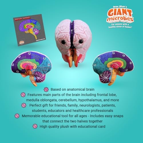 GIANTmicrobes Brain Model Anatomy Plush with Embroidered Details - Image 5