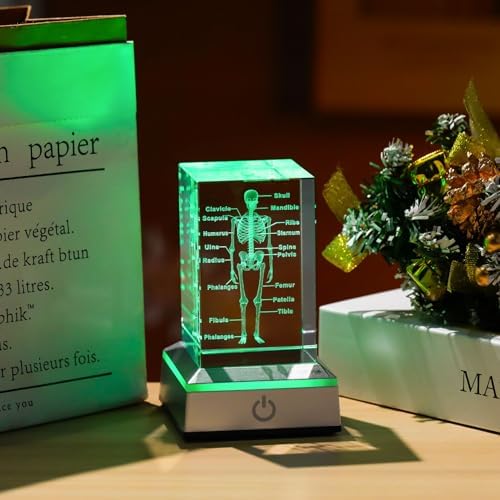 3D Crystal Human Skeleton Anatomy Model Medical Decor Gifts for Doctor, Laser Etched Science Biology Figurine Paperweight Psychology Graduation Gifts for Medical Students with LED Base - Image 6