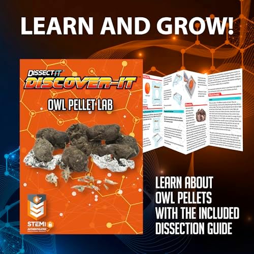 Discover-It Owl Pellet, Science Lab Kit, STEM Toys for Kids, Ages 5+ - Image 4