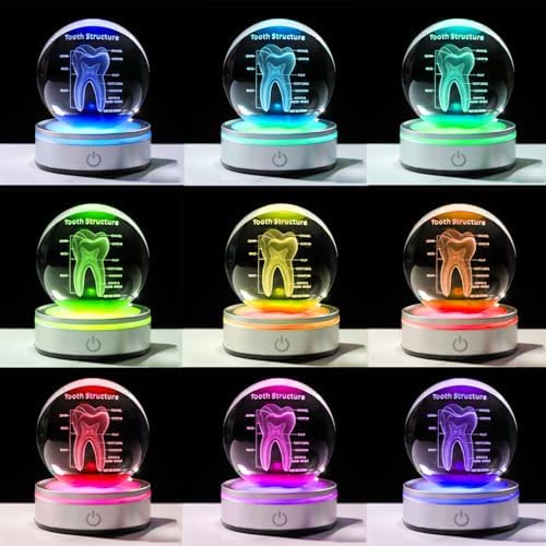 Tooth Model 3D Crystal Ball Dental Gifts for Women Men, Dentist Hygienist Present Office Decor with Led Base, Laser Etched Figurine Tooth Gift for Dental Student on Graduation Christmas - Image 5