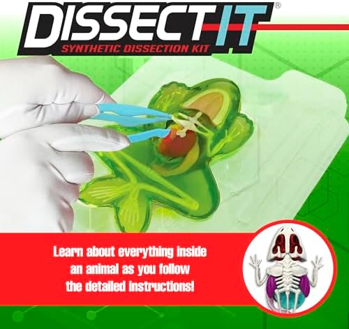 Dissect-It, Standard Frog Dissection Kit, STEM Toys for Kids, Ages 6+ - Image 2