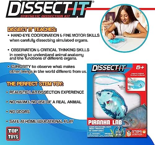 Dissect-It, Piranha Dissection Kit, STEM Toys for Kids, Ages 6+ - Image 3