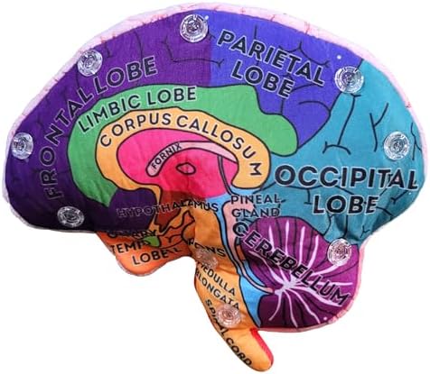 GIANTmicrobes Brain Model Anatomy Plush with Embroidered Details - Image 3