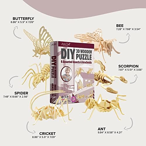 Hands Craft DIY 3D Wooden Puzzle – 6 Assorted Insects & Arachnids Bundle Pack Brain Teaser Puzzles Educational STEM Toy Adults and Kids to Build Safe and Non-Toxic Easy Punch Out Premium Wood JP2B9 - Image 7