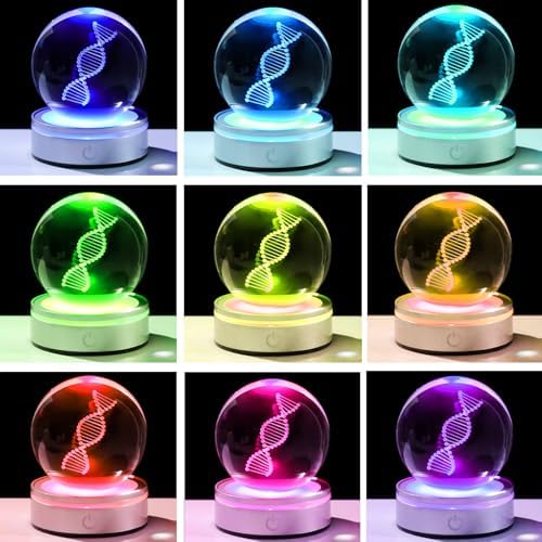 DNA Crystal Ball with LED Base - Unique 3D Laser Engraved Science Decor, Gift for Biology Teachers, Medical Students & Science Lovers, Classroom Lab Decor Night Light - Image 6