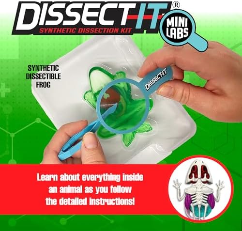 Top Secret Toys Dissect-It Mini Labs Frog Dissection Kit for Kids, Realistic Synthetic Kids Science Kit - On, Biology and Animal Anatomy, STEM Toy, Ages 6+ - Image 2