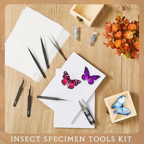 Spiareal 32 Pcs Insect Specimen Tools Kit Include 3.54 x 3.54 x 1.77 in 4 Pcs Display Case Box 3 Foam Pinning Board 3 Tubes Pins 6 Tweezers Butterfly Insect Pinning Kit Entomology Collection Supplies - Image 6