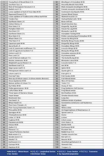 120 Microscope Slides with Specimens for Kids: Prepared Slides for Science - Image 5