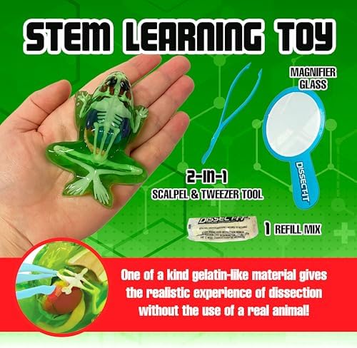 Top Secret Toys Dissect-It Mini Labs Frog Dissection Kit for Kids, Realistic Synthetic Kids Science Kit - On, Biology and Animal Anatomy, STEM Toy, Ages 6+ - Image 3