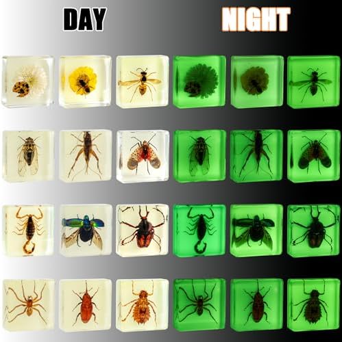 Insect Specimen Set, Bugs Collection Scientific Education Gift for Kids Aged 3-8-12 (12 Pack Glow-in-The-Dark) - Image 2