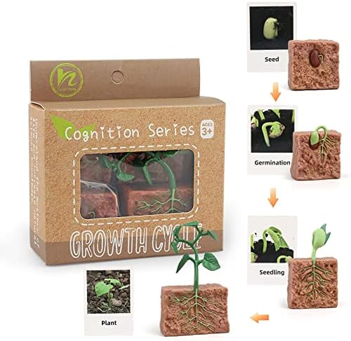 Montessori Life Cycle Animal Figures with Flash Cards, Realistic Animal Figurines Toy, Educational Matching Game for 3+ Year Old Kids (Plant) by MIKNEKE