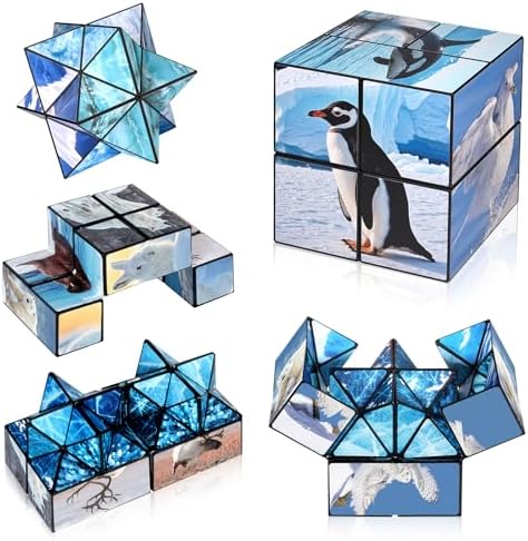 Euclidean Cube Fidget Toys for Kids 2 in 1 Star Cube Magic Cube Puzzle Toys by EuclideanCube