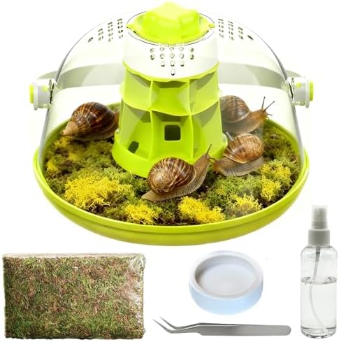 Snail Terrarium Kit Insect Enclosure Bug Terrarium Observation Container Praying Mantis Habitat Breeding Box Micro Habitat Starter Kit for Beetles Spider Small Reptile by Hamiledyi