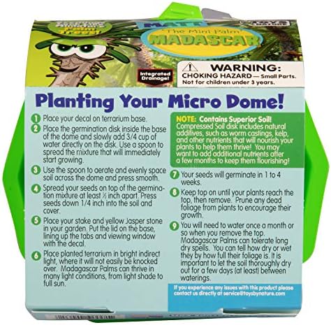 Toys By Nature Character Micro Domes Palm Plant Terrarium Starter Kit, Decorative and Easy-to-Grow Mini Terrariums with Complete Supplies and Genuine Jasper Stone! (Matt The Madagascar Mini Palm) - Image 4