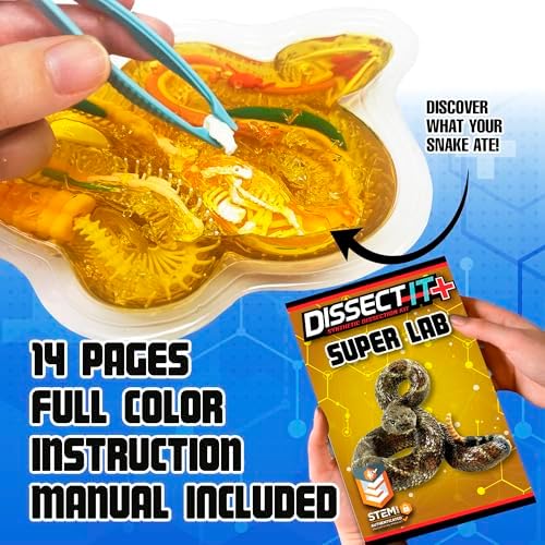 Dissect-It, Rattlesnake Dissection Kit, STEM Toys for Kids, Ages 6+ - Image 5