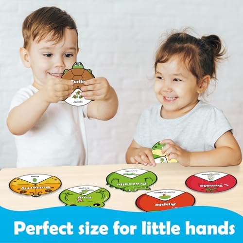 Kasfalci Life Cycle Toys for Kids,Back to School Supplies,Animal Plant Insect Bug Ladybug Butterfly Tadpole to Frog Kit,Montessori Learning & Education Toys,Preschool Science Learning Activities - Image 5