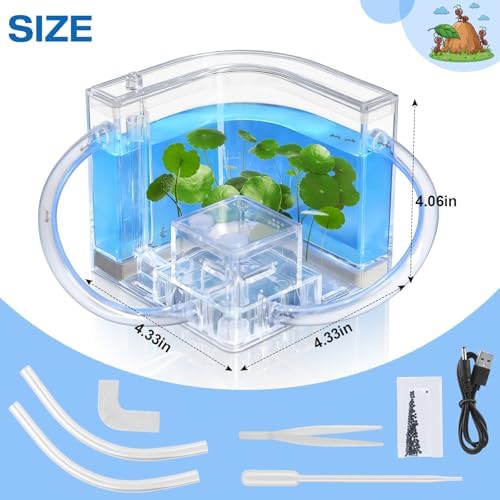 Ant Nest, Ant Habitat Kit - Image 6
