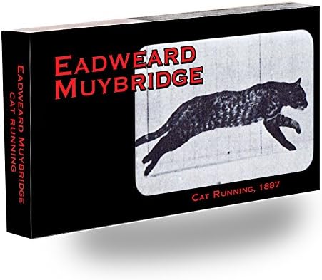 Muybridge Cat Flipbook for Kids Ages 6-12, Animation Flip Book for Children by Fliptomania