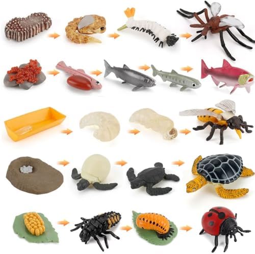 Montessori Animal Life Cycle Figurines - Image 5
