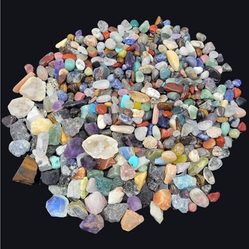 450 Pieces Rocks Collections for Kids, 40+ Kinds Gemstones and Crystals Set, Rocks and Minerals Science Kit Include 1.5lb Tumbled Chips Crystals and 1lb Tiny Rough Stones by SeeuFun