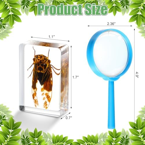 Lineshading 70 Pcs Resin Insects Specimen with 7 Magnifier for Kids Science - Image 2