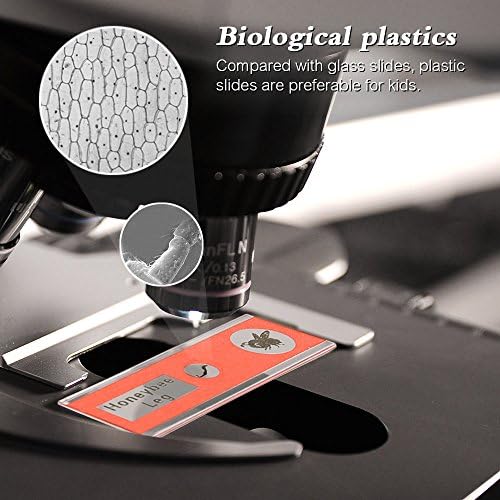 Prepared Microscope Slides, 48pcs Plastic Animals Insects Plants Flowers Sample Specimens - Image 3