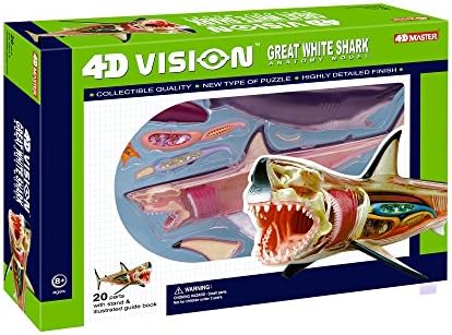 4D Vision Great White Shark Anatomy Model by Unknown