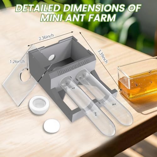 Transparent Mini Ant Farm with Dual Test Tubes for Thriving Ant Colony Observation (Gray) - Image 2