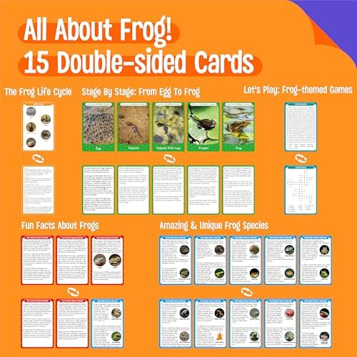 15 Frog Life Circle Flashcards with 5 Plastic Figurines, Frogs Introduction Cards Plastic Insects Tadpole to Frog Kit Toy for Kids, Adults, Animal Lovers - Image 2