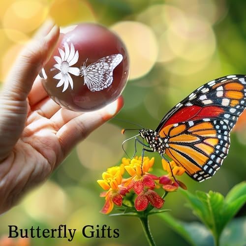 IFOLAINA 3D Butterfly Crystal Ball Gifts Ideas for Girlfriend Wife Mom Her - Image 5