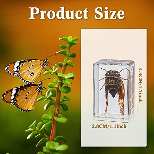 Geelin 24 Pcs Insect in Resin Specimen Set Specimen Bugs Plant Flower Paperweight Butterfly Science Mini Animals Figures for Biology Science Teacher Education Collection - Image 2