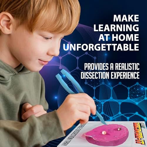 Discover-It Pearl Oyster, Science Lab Kit, STEM Toy for Kids, Ages 5+ - Image 5