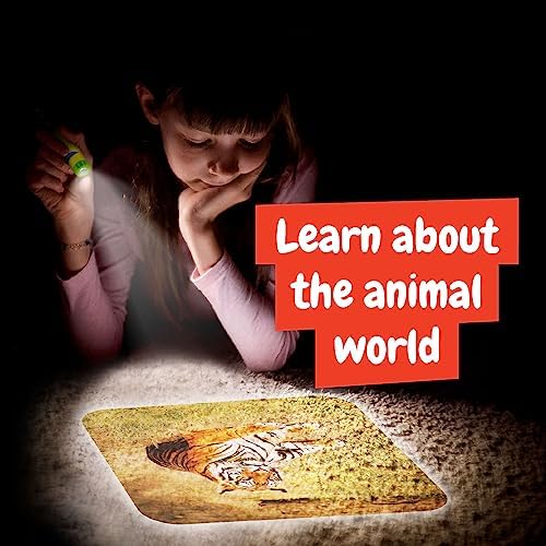 Science4you Animal Torch Projector for Children 4+ Years, Projector Torch for Kids + 24 Images and Poster Included, Educational Gift for Kids Age 4+ - Image 5