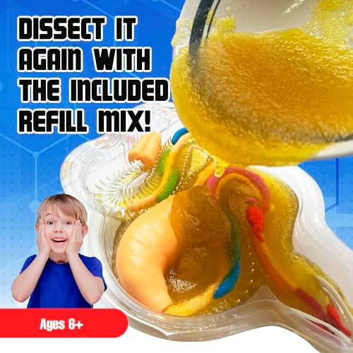 Dissect-It, Rattlesnake Dissection Kit, STEM Toys for Kids, Ages 6+ - Image 6