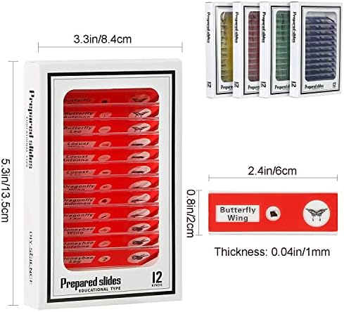 48pcs Microscope Slides with Specimens for Kids – Kids Prepared Stereo Microscope Slides for Stereo Microscope and Other, Animals Insects Plants Flowers Specimens - Image 4