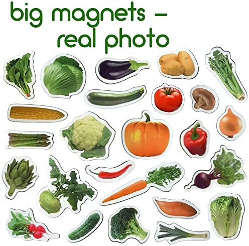 Fridge Magnets for Toddlers – Big 25 Vegetable - Educational Toy - Image 3