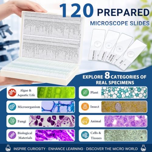 Tellegloww 120 Pcs Microscope Slides with Specimens for Kids & Students - Image 2