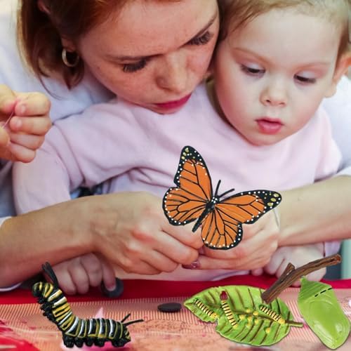 Life Cycleinsects Toys - 6Pcs Educational Figurine Set Ladyybuges - Image 2