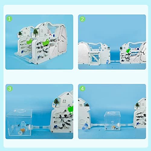 2PCS Ant Farm for Kids with Connectable Tubes Habitat Science Learning Kit - Image 2