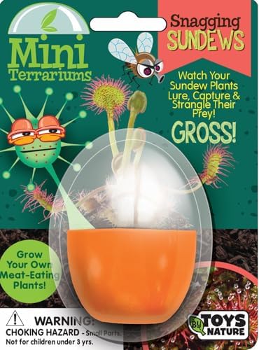 Toys By Nature Mini Terrarium Carnivorous Plant Bundle, 100% USA Made Complete Starter Kit Includes 2 Each of Flytraps, Pitcher Plants, Sundews, Easy to Grow Planting Seeds Just Add Water - Image 5